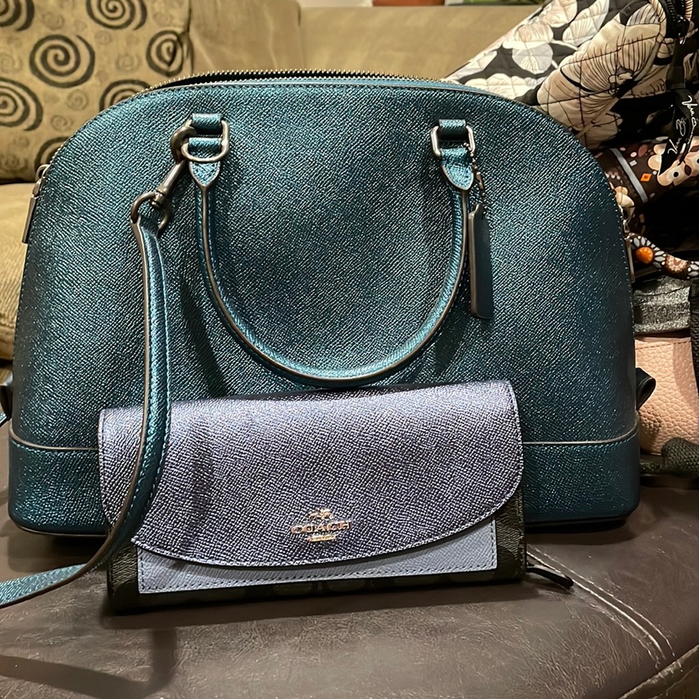 NWT Cute Crossbody and wallet set!!